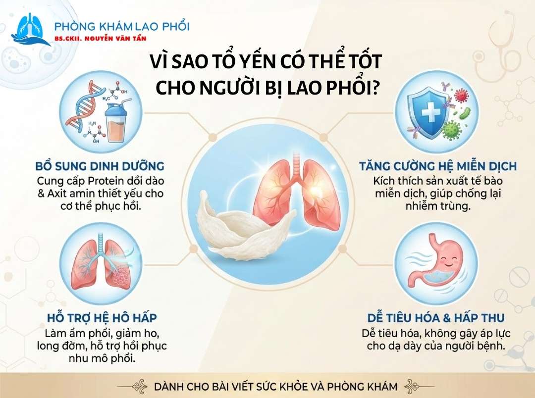 Lợi ích khi ăn yến cho người bị lao phổi