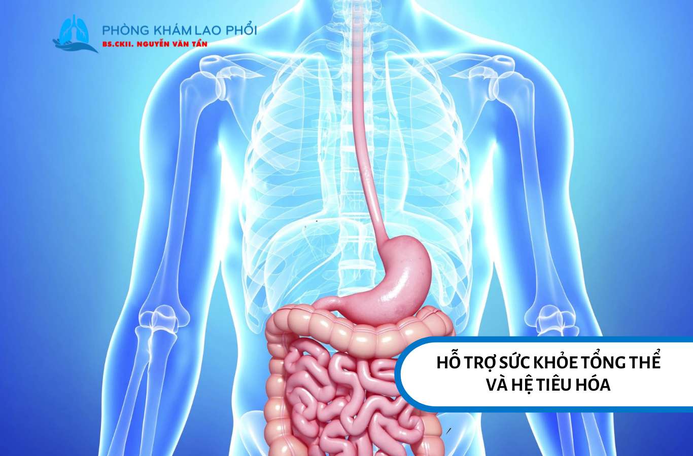 Một trong những lợi ích của nước dừa là hỗ trợ sức khỏe tổng thể và hệ tiêu hóa