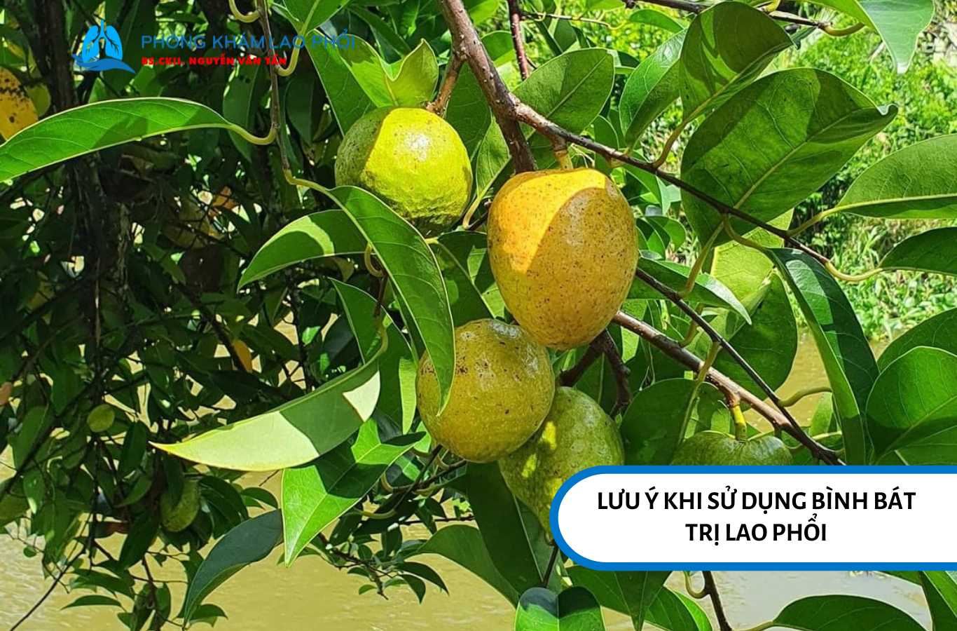 Bạn cần lưu ý tránh để nhựa bình bát dính vào mắt hoặc da