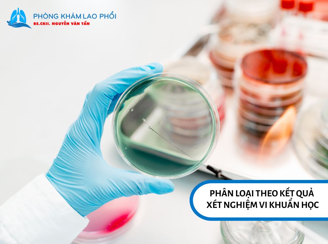 Phân loại vi khuẩn lao theo kết quả xét nghiệm vi khuẩn học