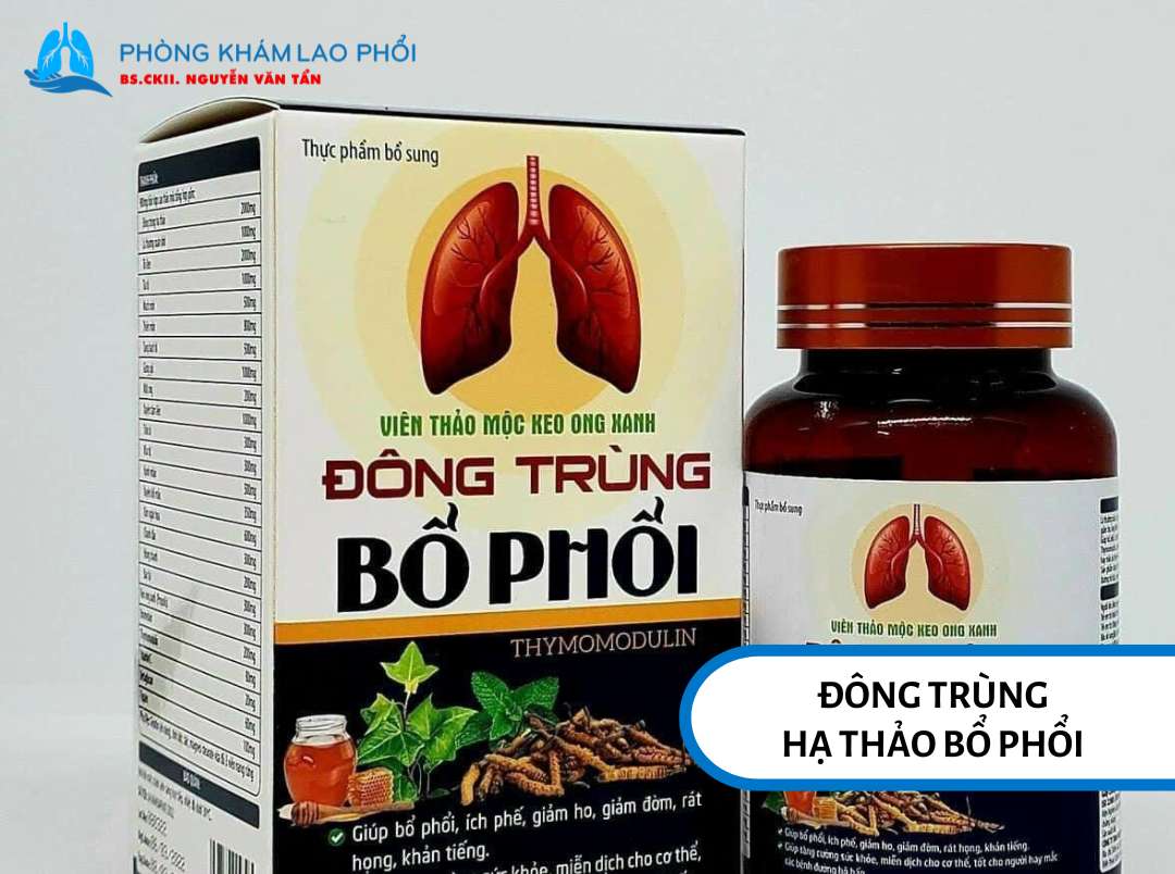 Đông trùng hạ thảo là một loại dược liệu quý có tác dụng hỗ trợ bồi bổ phổi