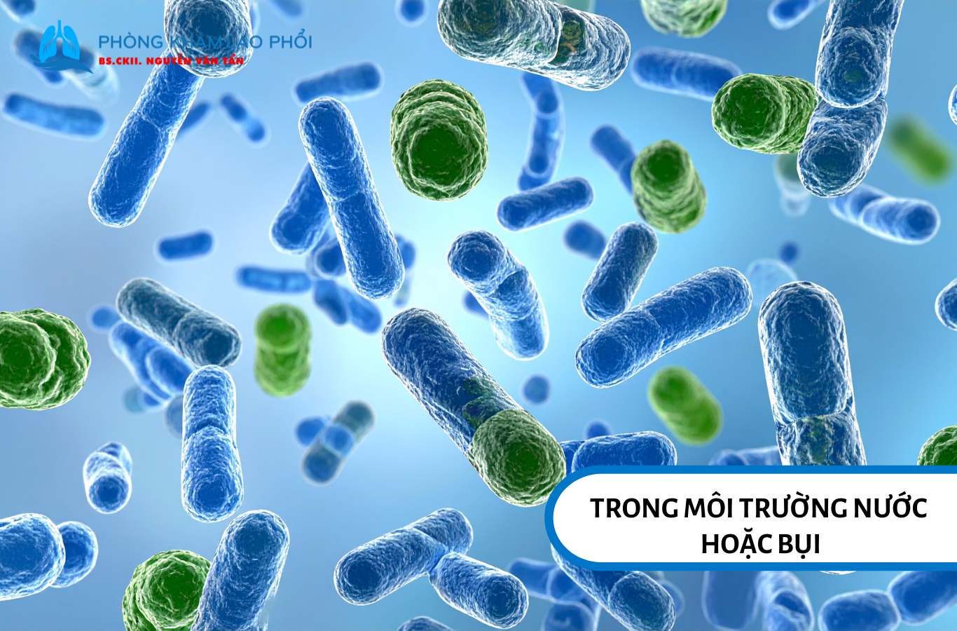 Trong môi trường nước hoặc bụi