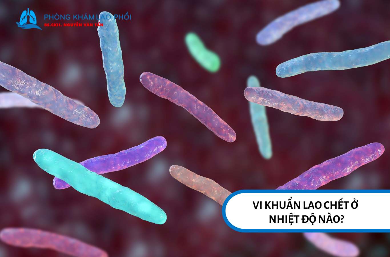 Vi khuẩn lao chết ở nhiệt độ nào?