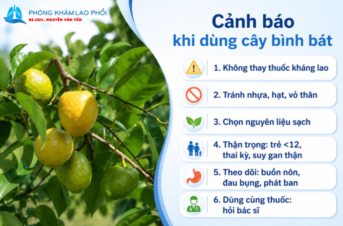 Lưu ý an toàn khi sử dụng cây bình bát hỗ trợ điều trị lao phổi